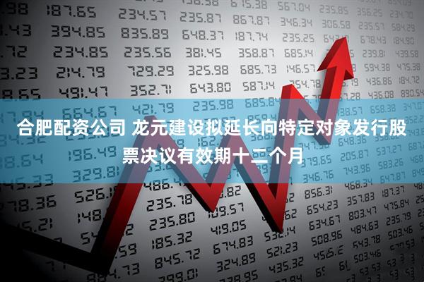 合肥配资公司 龙元建设拟延长向特定对象发行股票决议有效期十二个月